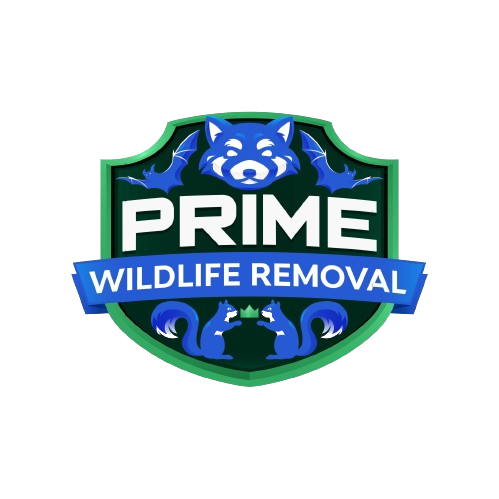 Wildlife Removal Danville